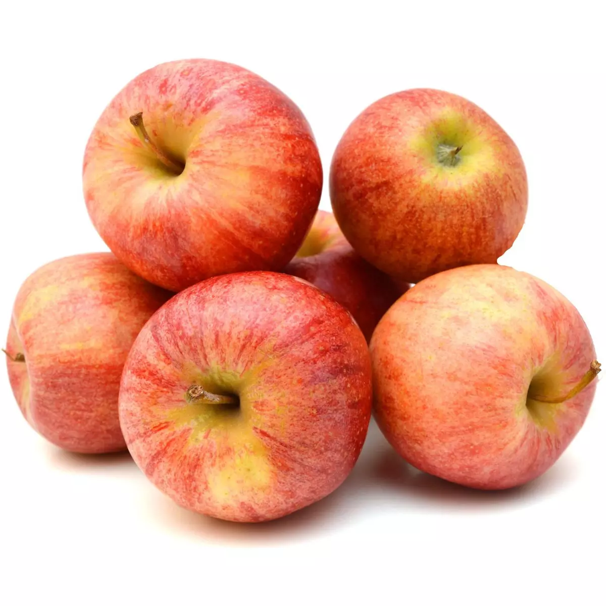 Pommes Gala 6 pièces