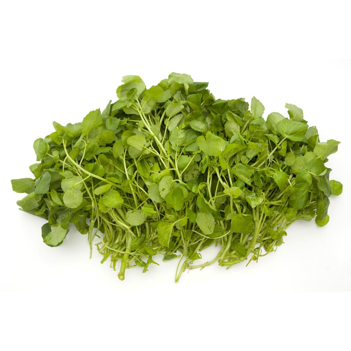 Cresson 150g