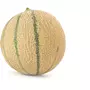 Melon charentais vert 1 pièce