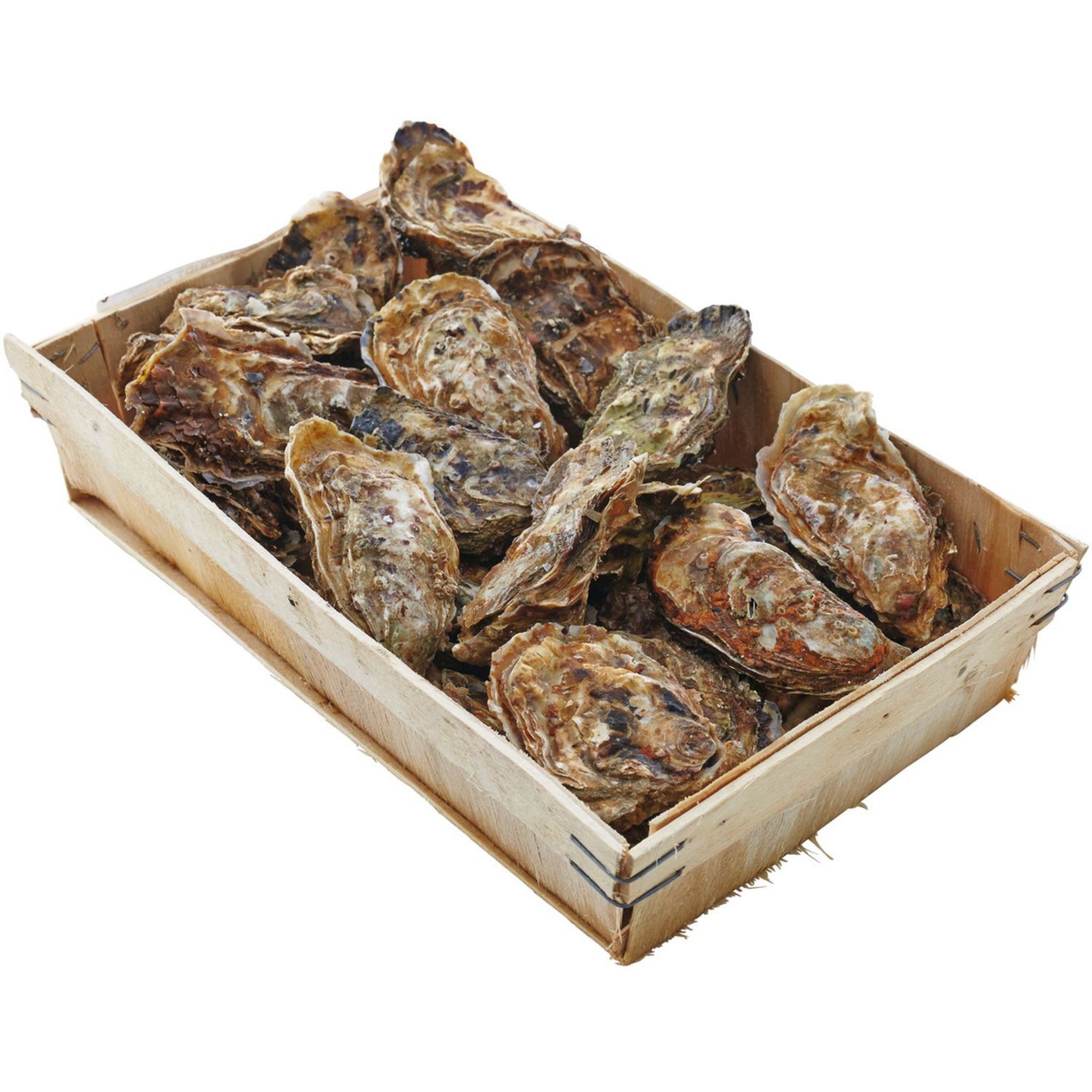MAREE DU JOUR Huîtres spéciales n°2 6x12 pièces 8kg