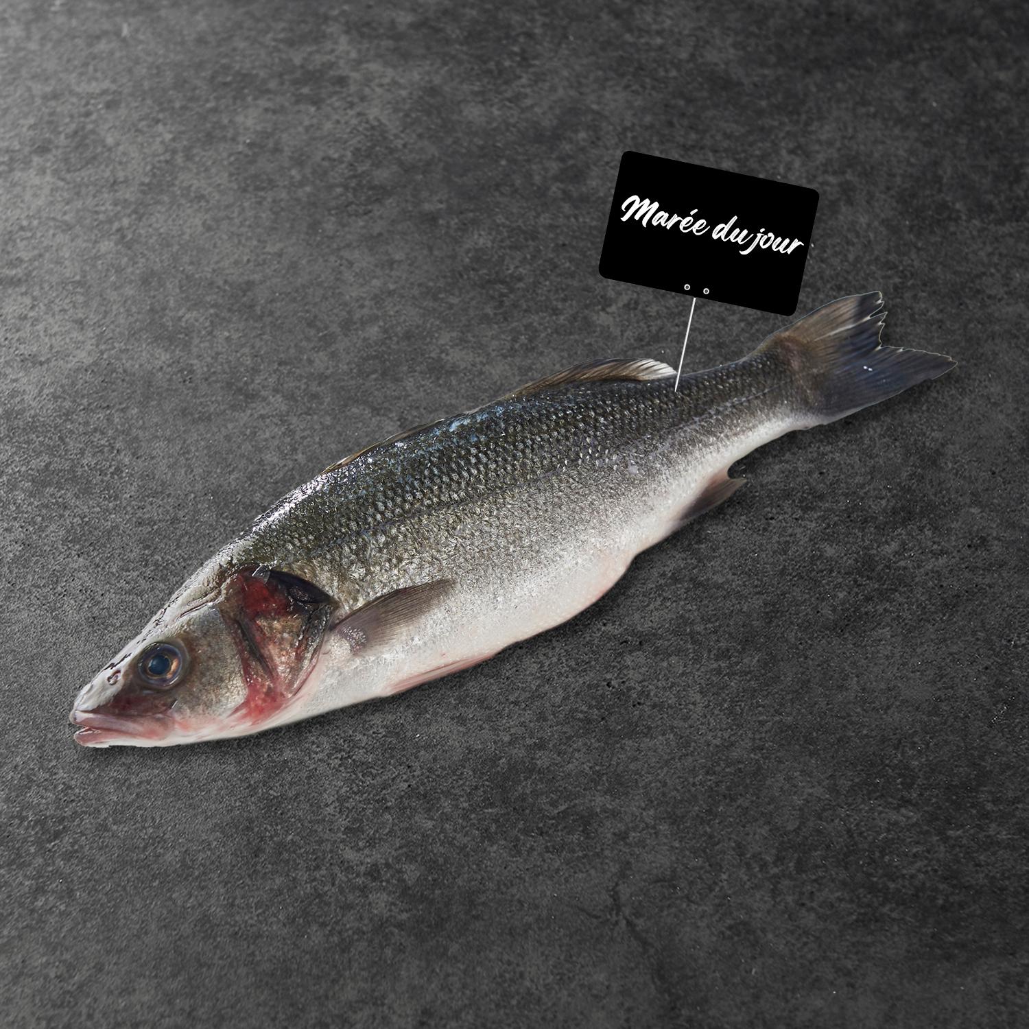 MON POISSONNIER CULTIVONS LE BON Bar vidé gratté avec tête 3 portions 350 g à 450 g