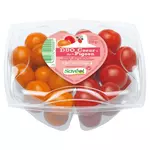 Tomates cerises DUO 250g