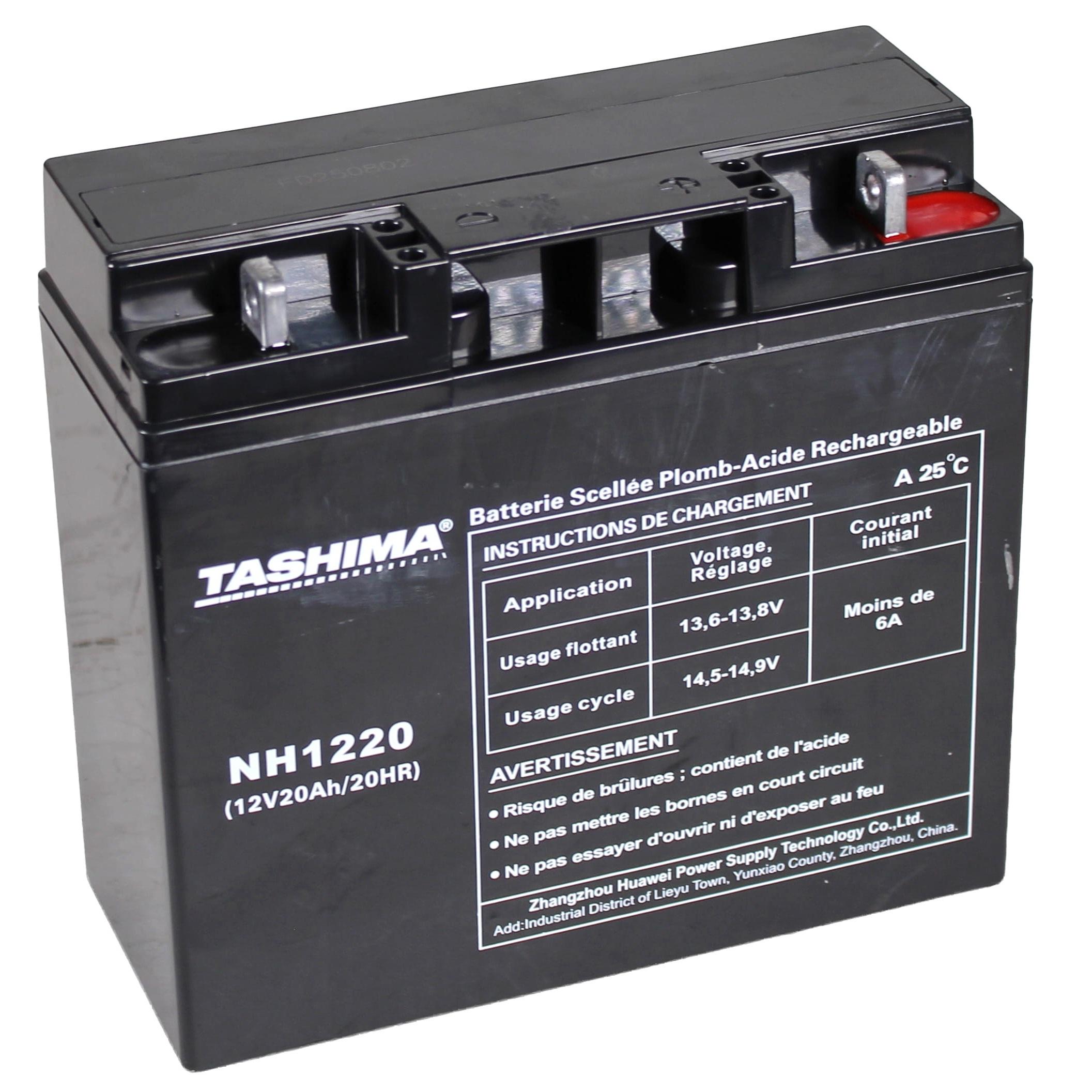 F1 DISTRIBUTION Batteries 12V 20A