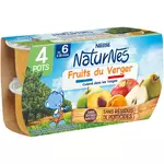 Nestlé NESTLE Naturnes petit pot dessert aux fruits du verger dès 6 mois