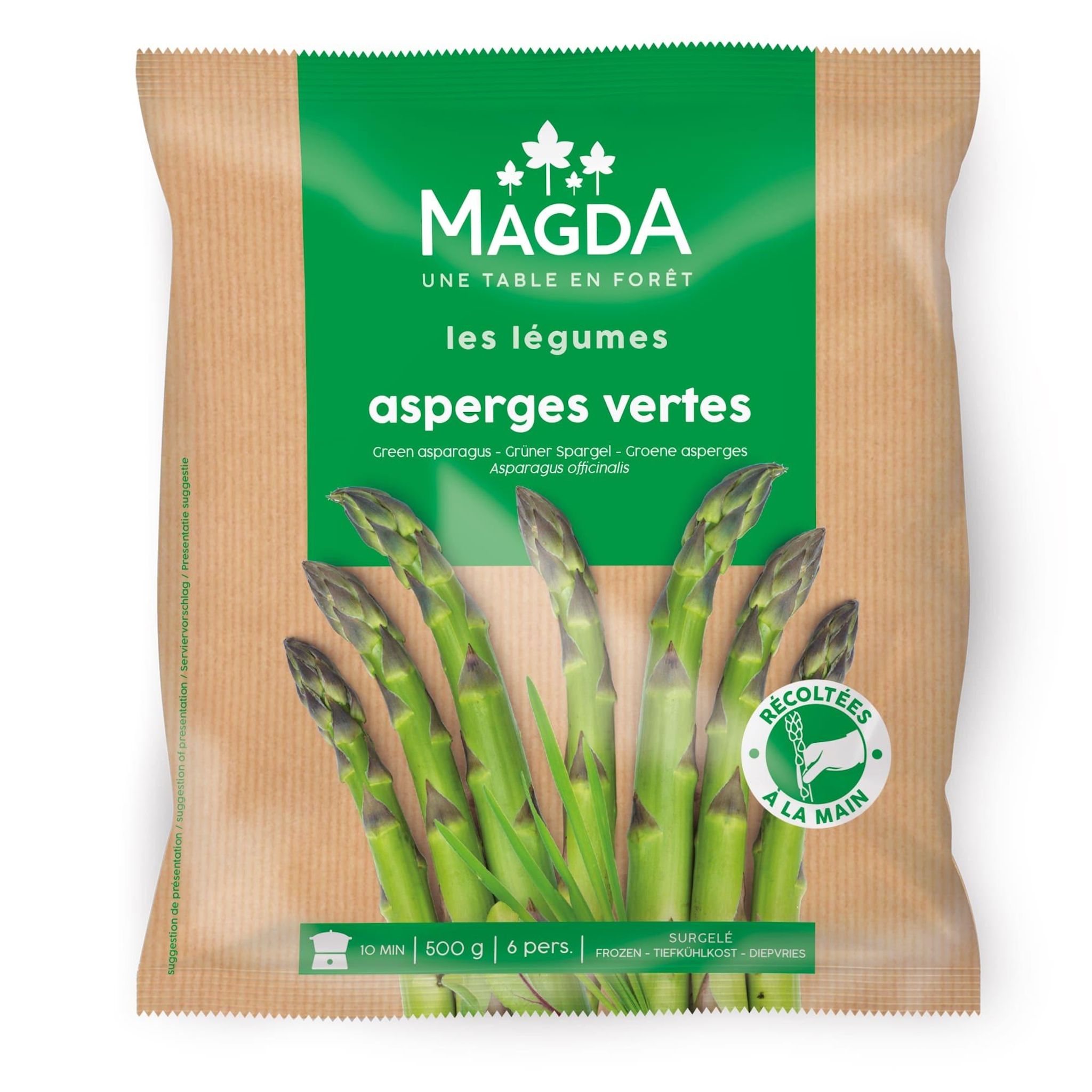 MAGDA Asperges vertes 500g