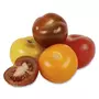 Tomates rondes 4 couleurs 500g