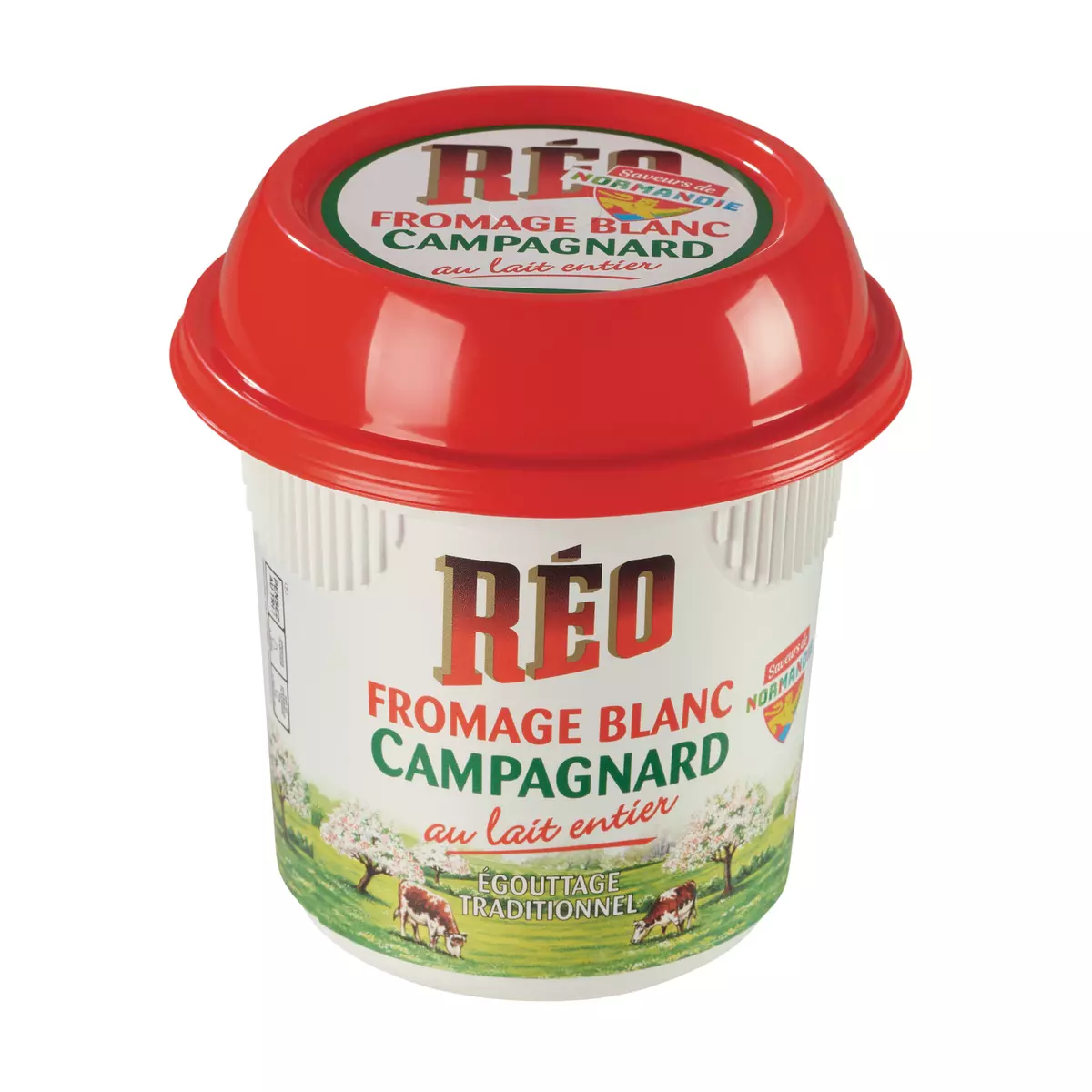 REO Fromage blanc Campagnard 8.1% MG 500g