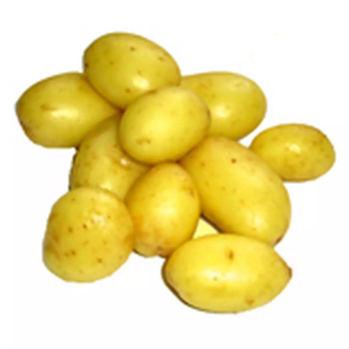 AUCHAN Pommes de terre primeur grenaille 500g