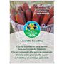 Voir la diapositive 2 : CULTIVONS LE BON Carottes des sables 1kg