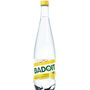 Voir la diapositive 2 : BADOIT Eau gazeuse aromatisée citron sans sucres 1l