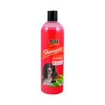 RIGA Shampooing insectifuge chien aux extraits de margosa 50cl