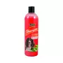 RIGA Shampooing insectifuge chien aux extraits de margosa 500ml
