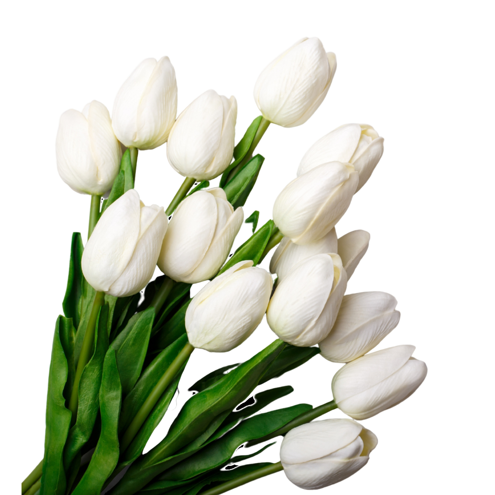 FLEURS Bouquet de 14 tulipes blanches 1 bouquet