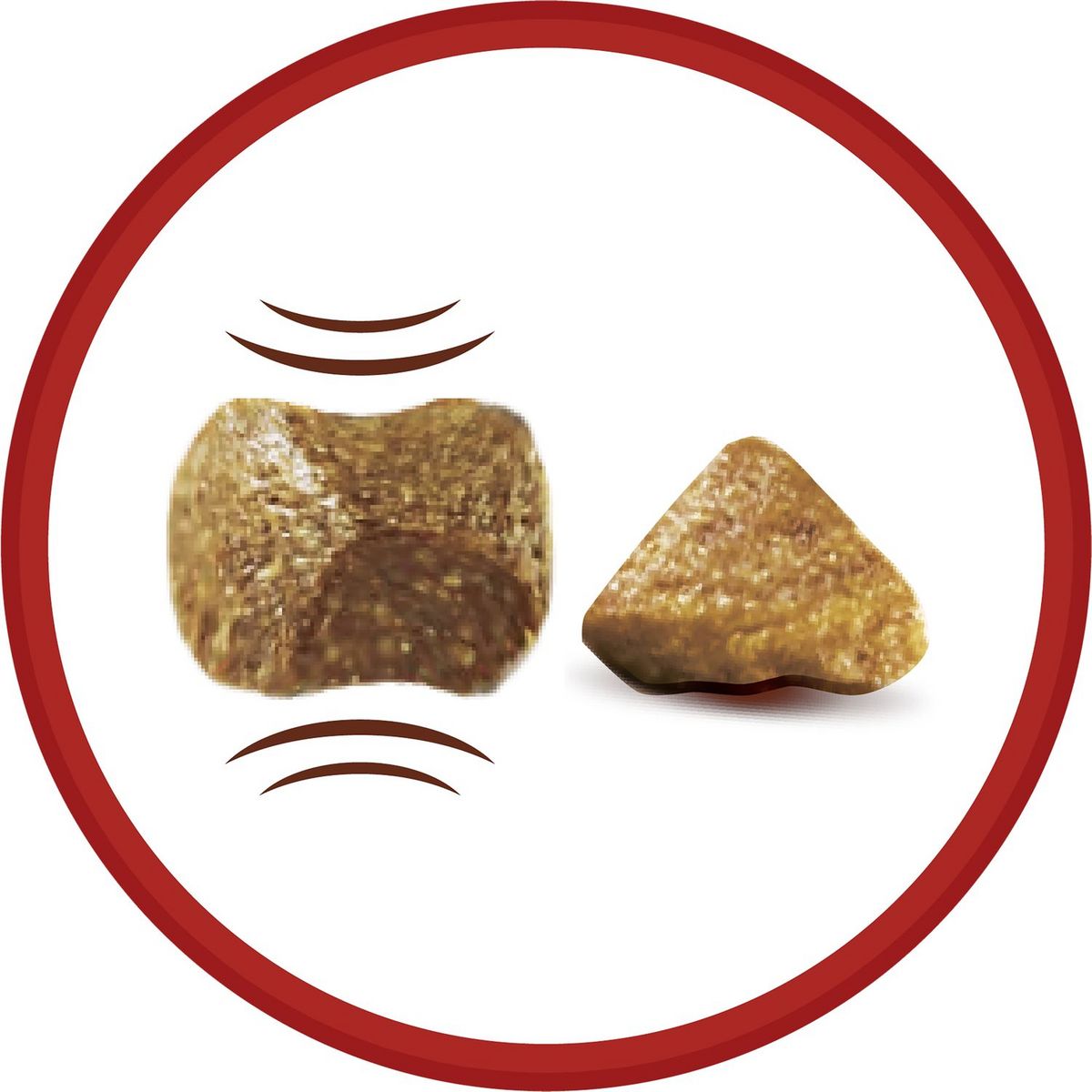 PURINA One croquettes au bœuf et riz pour chien mini adulte 1,5kg