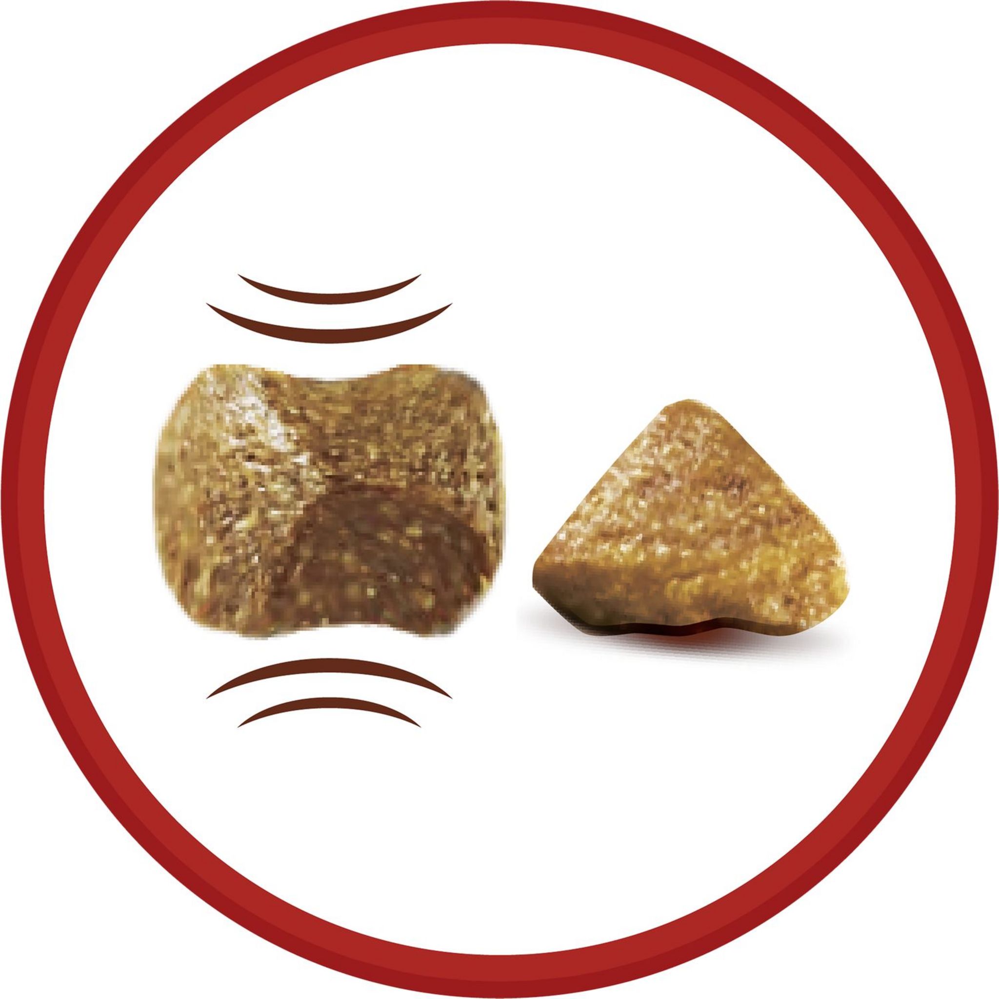 Voir la diapositive 2 : PURINA One croquettes au bœuf et riz pour chien mini adulte 1,5kg