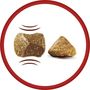 Voir la diapositive 2 : PURINA One croquettes au bœuf et riz pour chien mini adulte 1,5kg