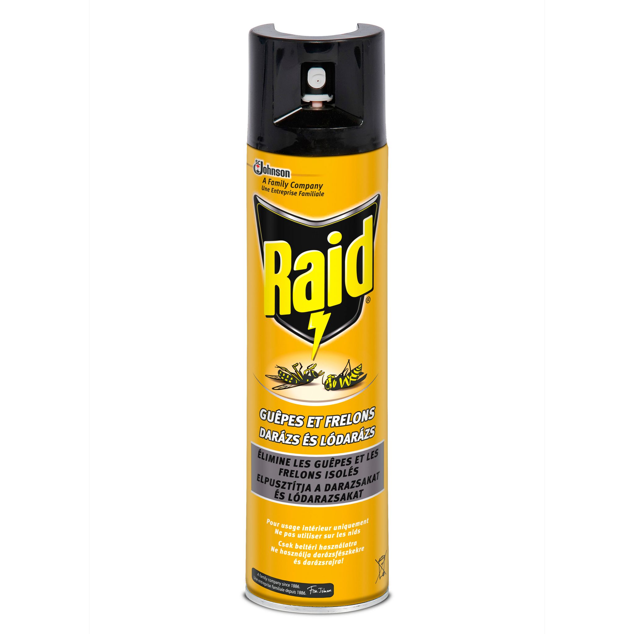 Voir la diapositive 2 : RAID Aérosol insecticide guêpes et frelons 300ml