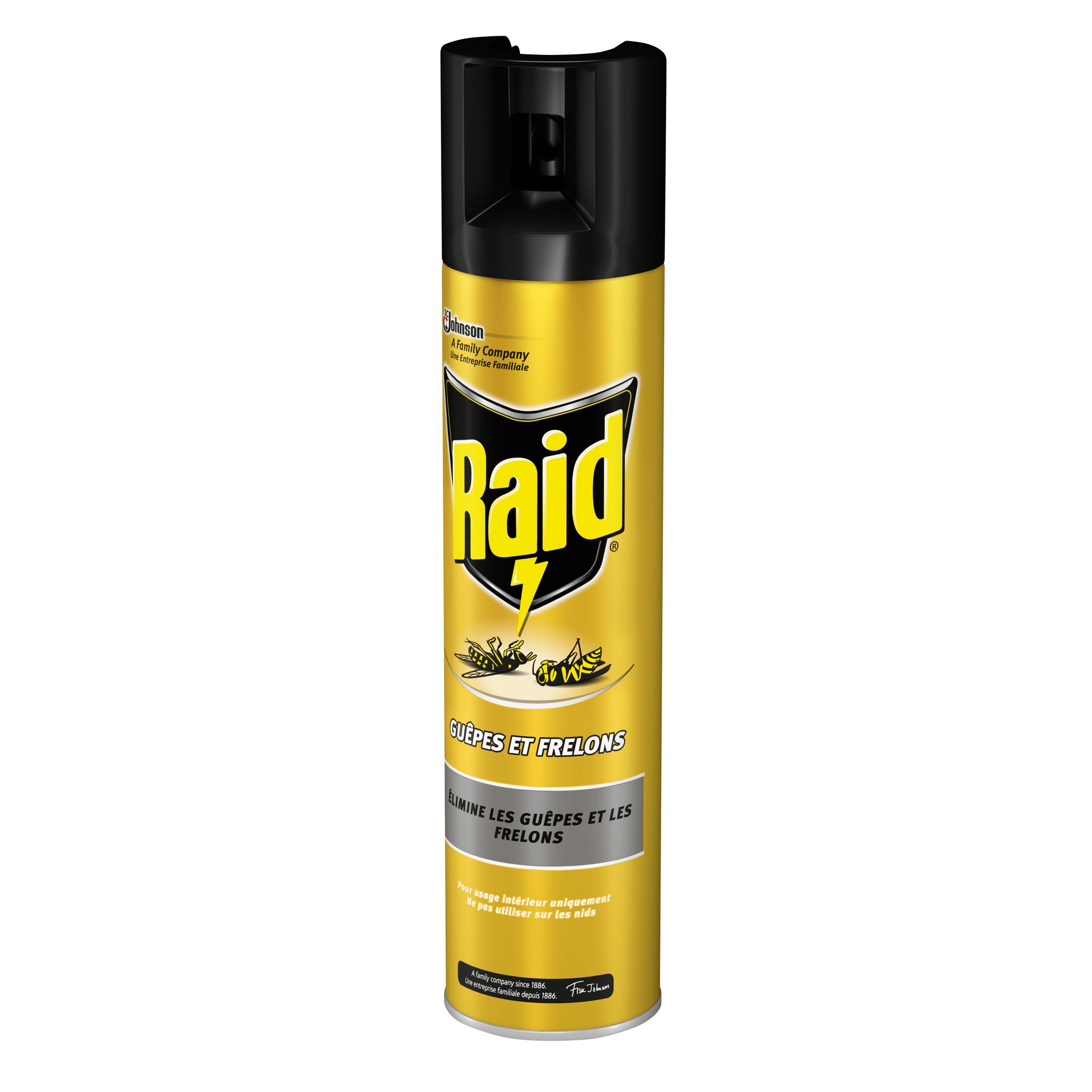Voir la diapositive 3 : RAID Aérosol insecticide guêpes et frelons 300ml