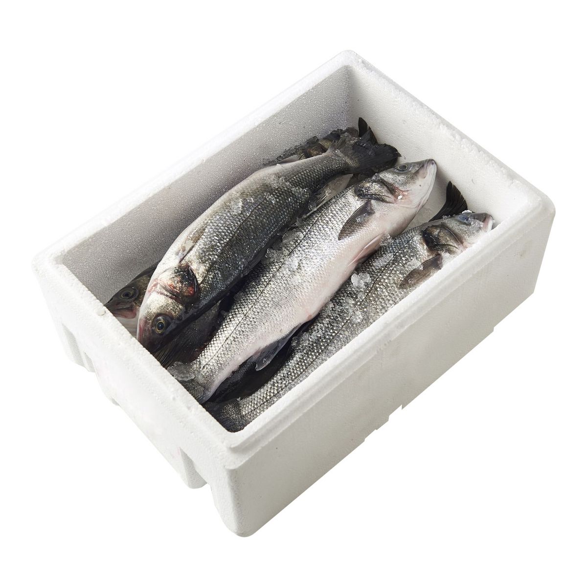 LA MARÉE DU JOUR Bar d'élevage Filière Responsable caisse 3kg