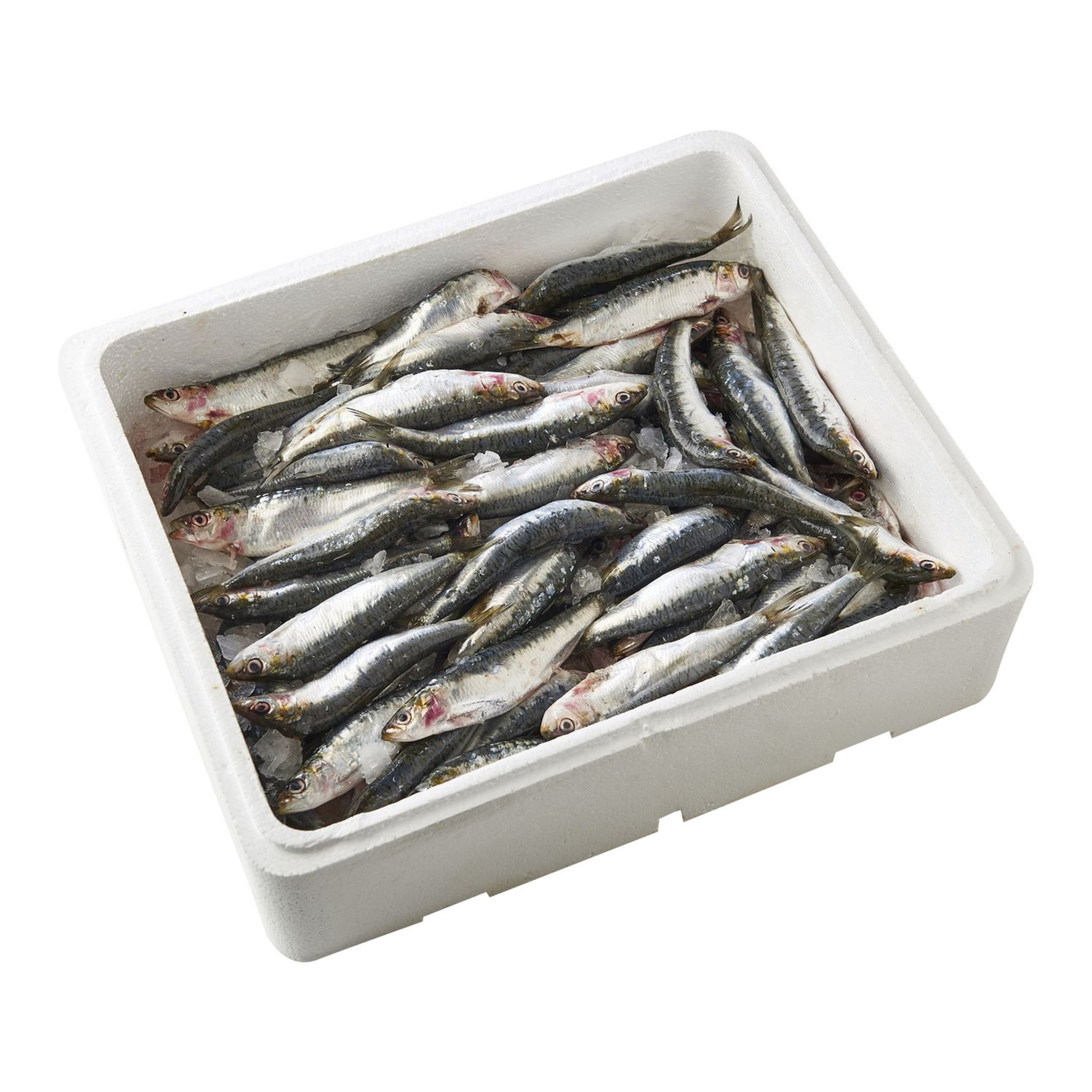 LA MARÉE DU JOUR Sardines Atlantique Nord Est caisse 4kg