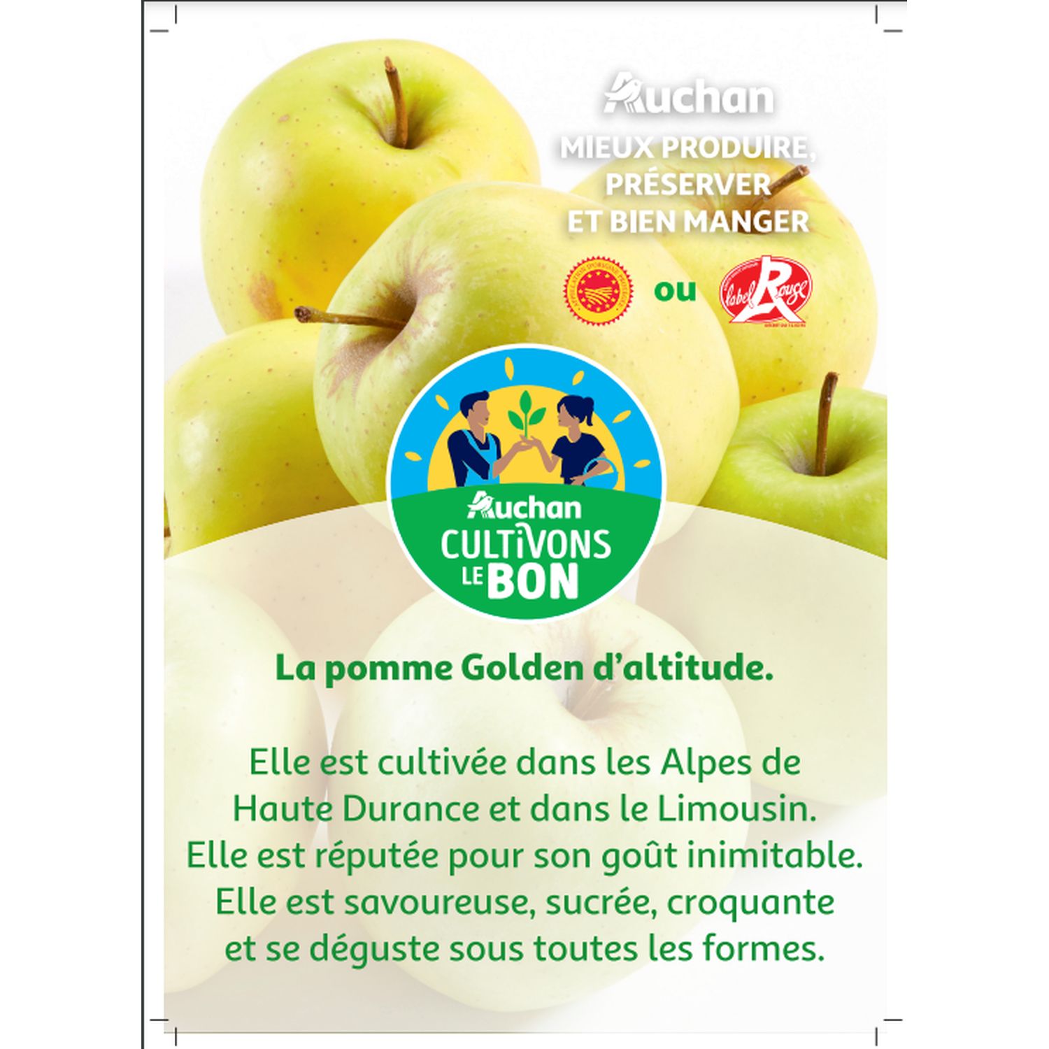 Voir la diapositive 2 : CULTIVONS LE BON Pommes Golden 6 pièces
