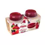RIANS Panna cotta et coulis de fruits rouges 2x120g