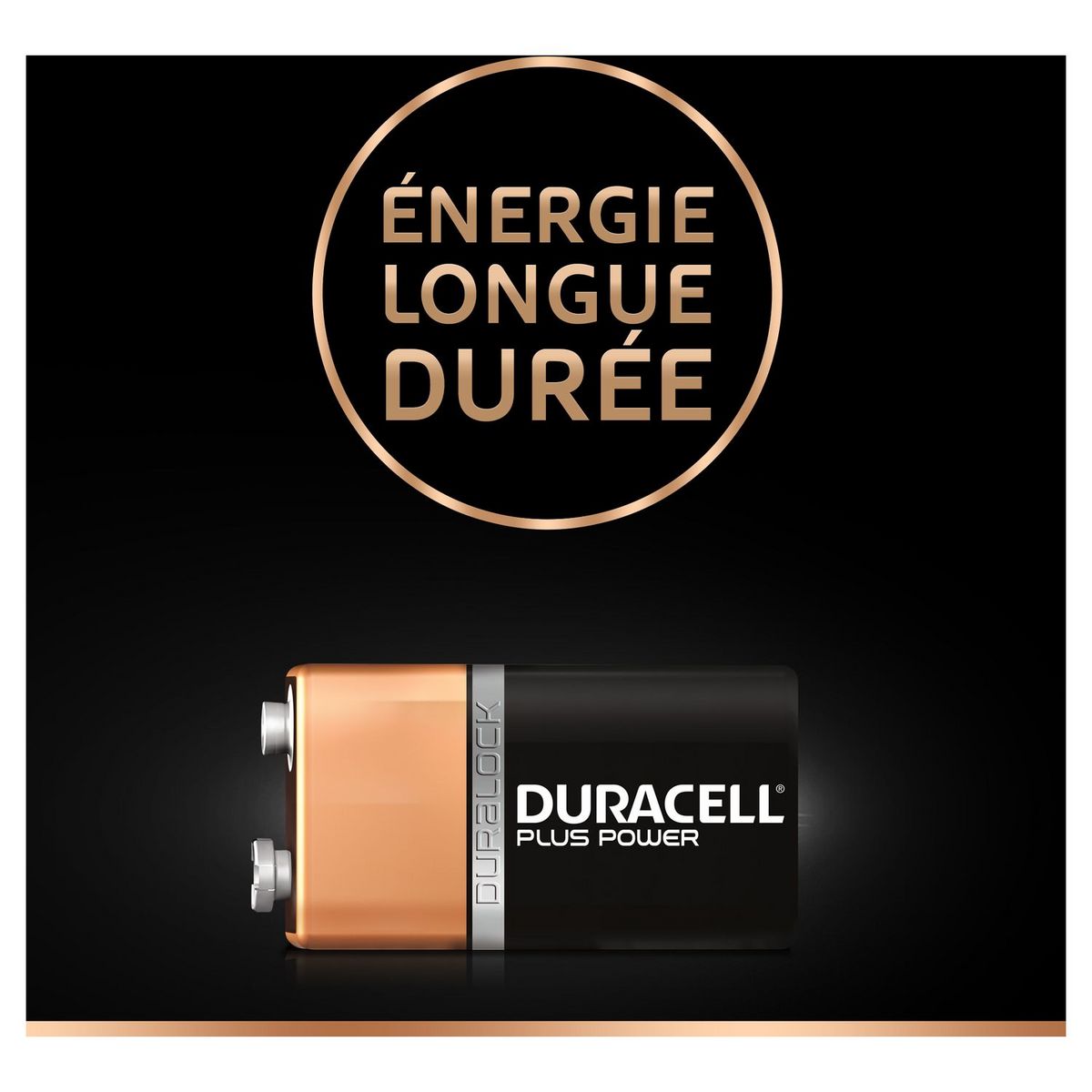 DURACELL Pile 6LR61 9v plus power