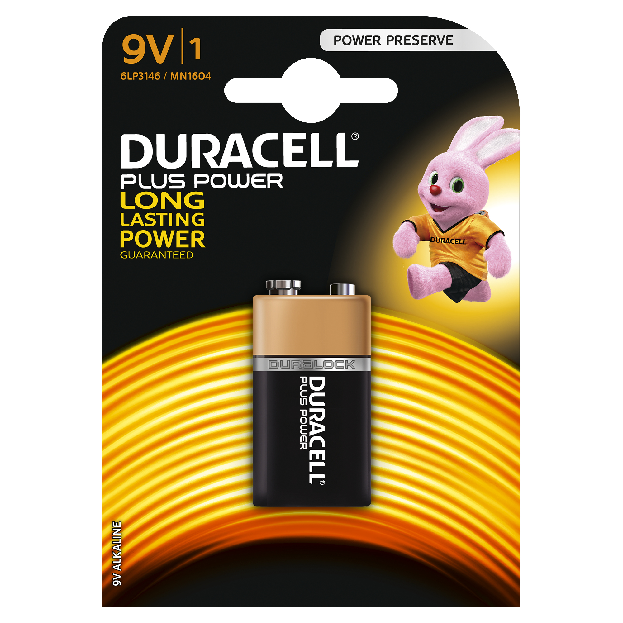 Voir la diapositive 5 : DURACELL Pile 6LR61 9v plus power