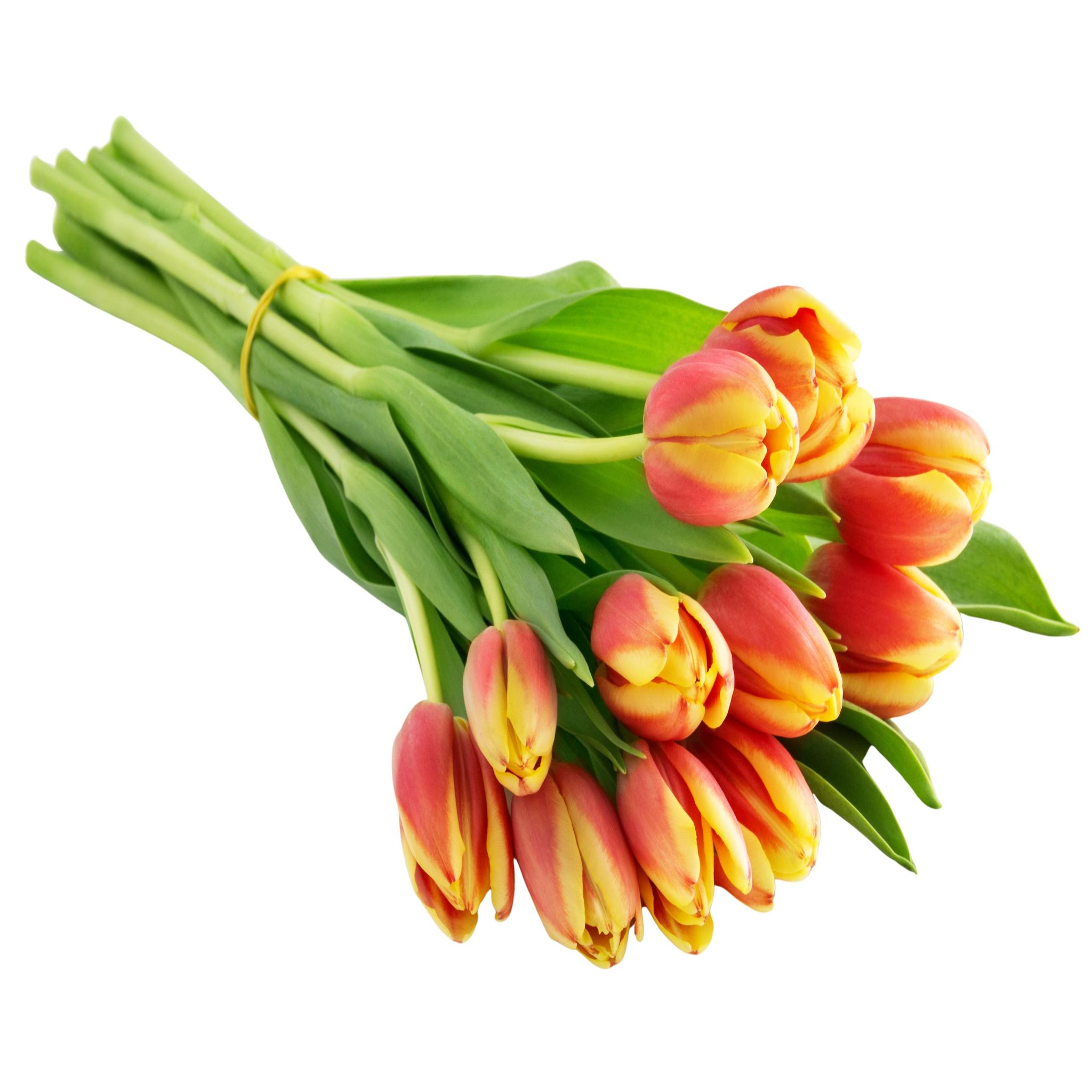 FLEURS bouquet de 7 tulipes 1 bouquet