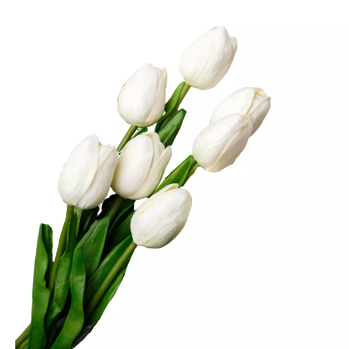 FLEURS Bouquet de 7 tulipes blanches 1 bouquet