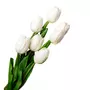 FLEURS Bouquet de 7 tulipes blanches 1 bouquet