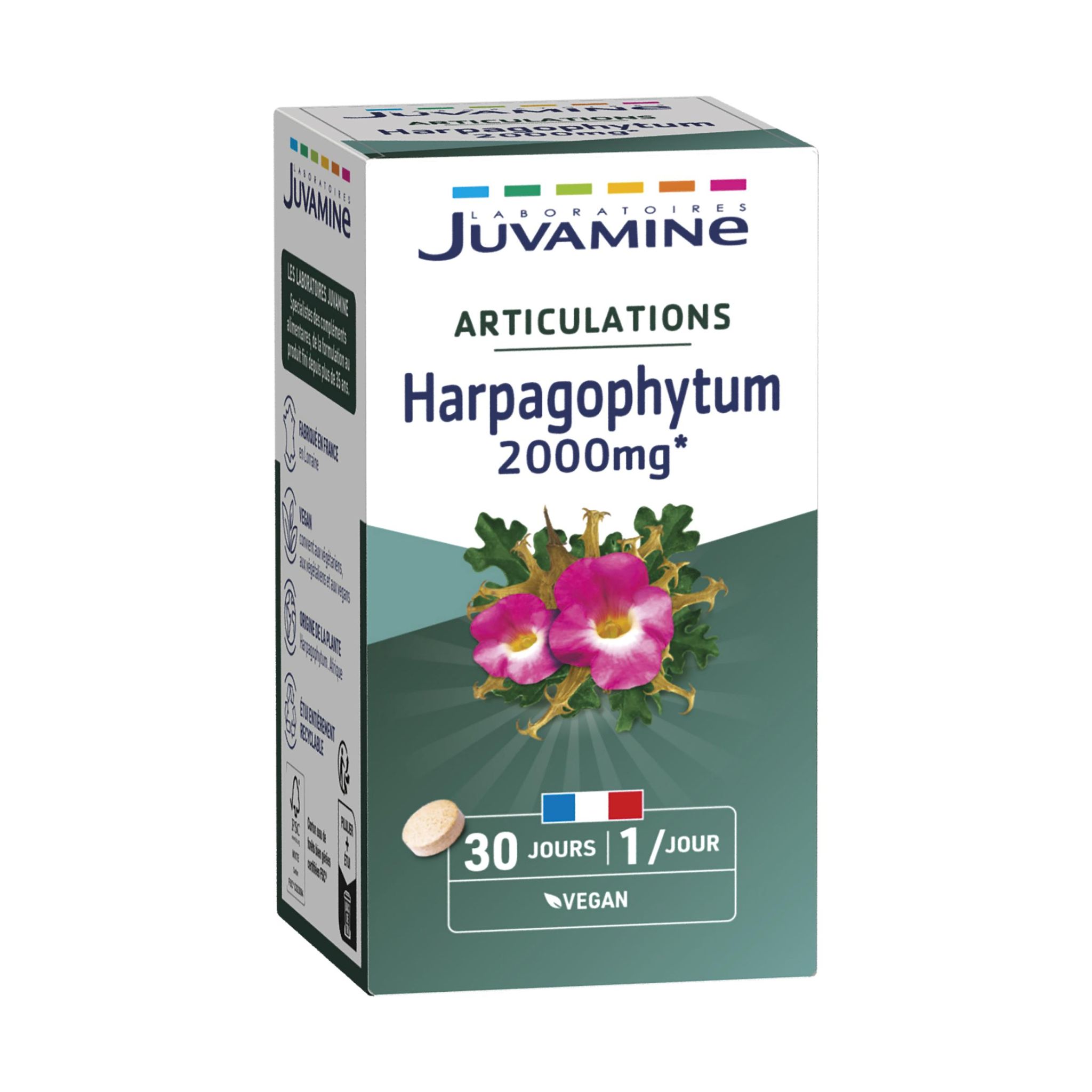 Voir la diapositive 2 : JUVAMINE Harpagophytum 2000mg pour les articulations 30 comprimés 20g