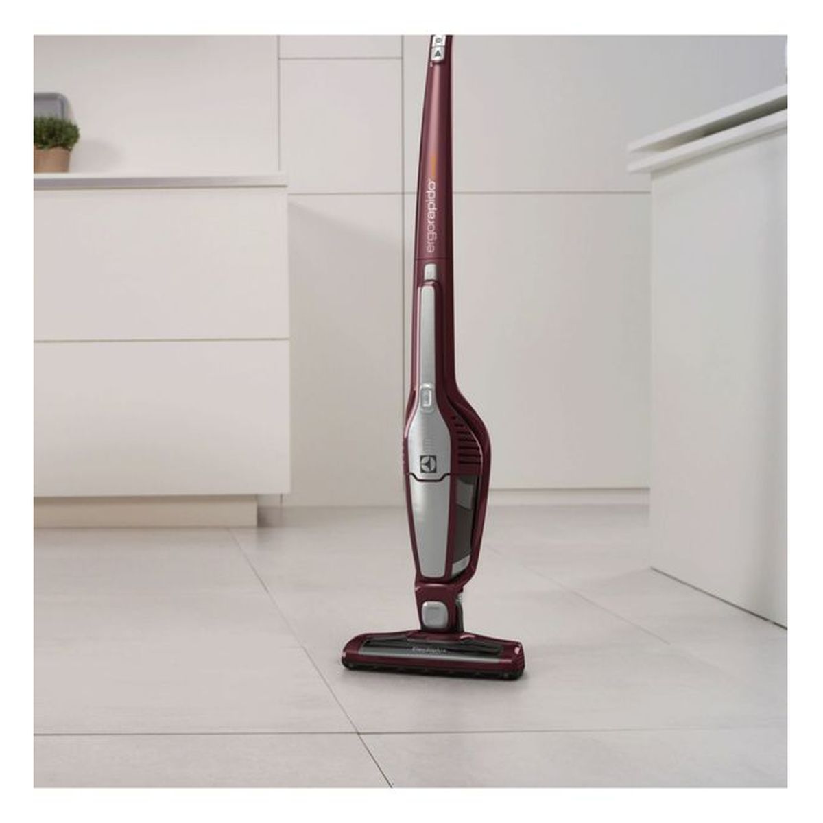 ELECTROLUX Aspirateur balai ZB3104 Ergorapido Cyclonic