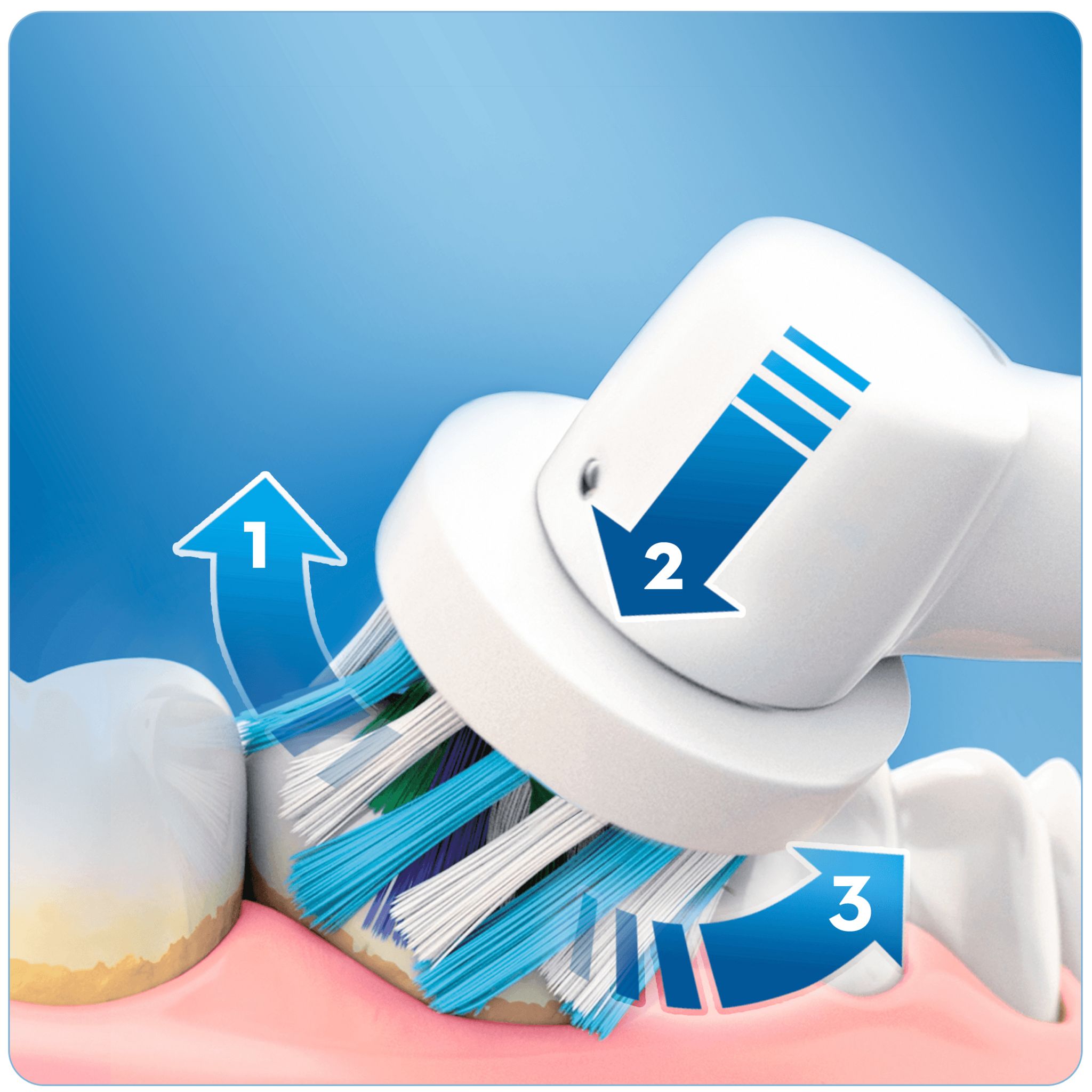 Voir la diapositive 2 : ORAL-B Brosse à dents électrique Vitality 170 CROSSACTION