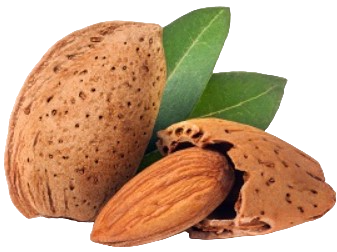 Amande 500g