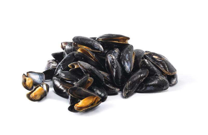 MON POISSONNIER Moules de Dunkerque 900 g à 1.1 kg
