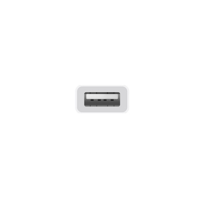 Voir la diapositive 3 : APPLE USB-C to USB Adapter