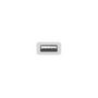 Voir la diapositive 3 : APPLE USB-C to USB Adapter
