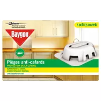 BAYGON FOURMIS & CAFARDS 400ML