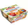 ANDROS Spécialité pomme abricot sans sucres ajoutés 4x100g