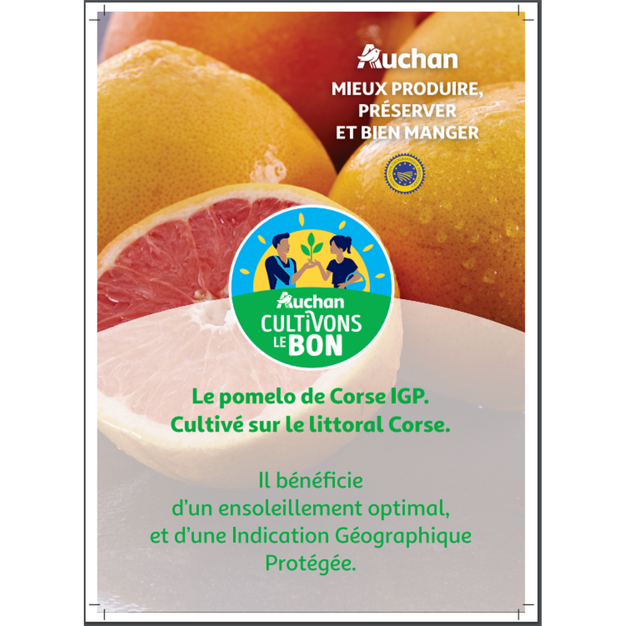 Voir la diapositive 2 : CULTIVONS LE BON Pomelos roses de Corse 4 pièces
