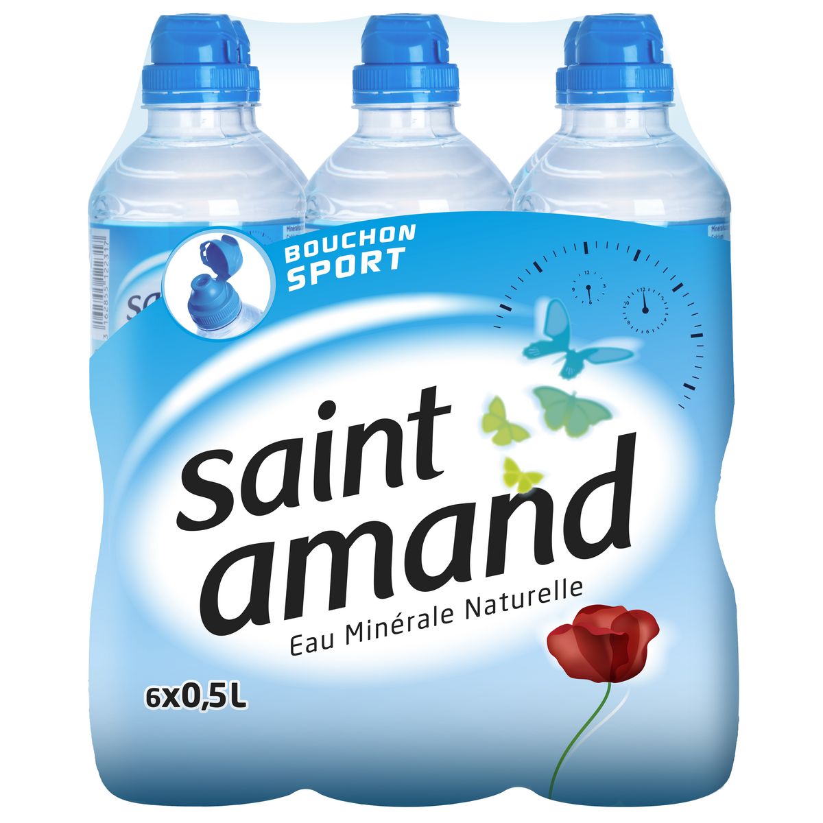 SAINT AMAND Eau minérale naturelle plate bouchon sport 6x50cl