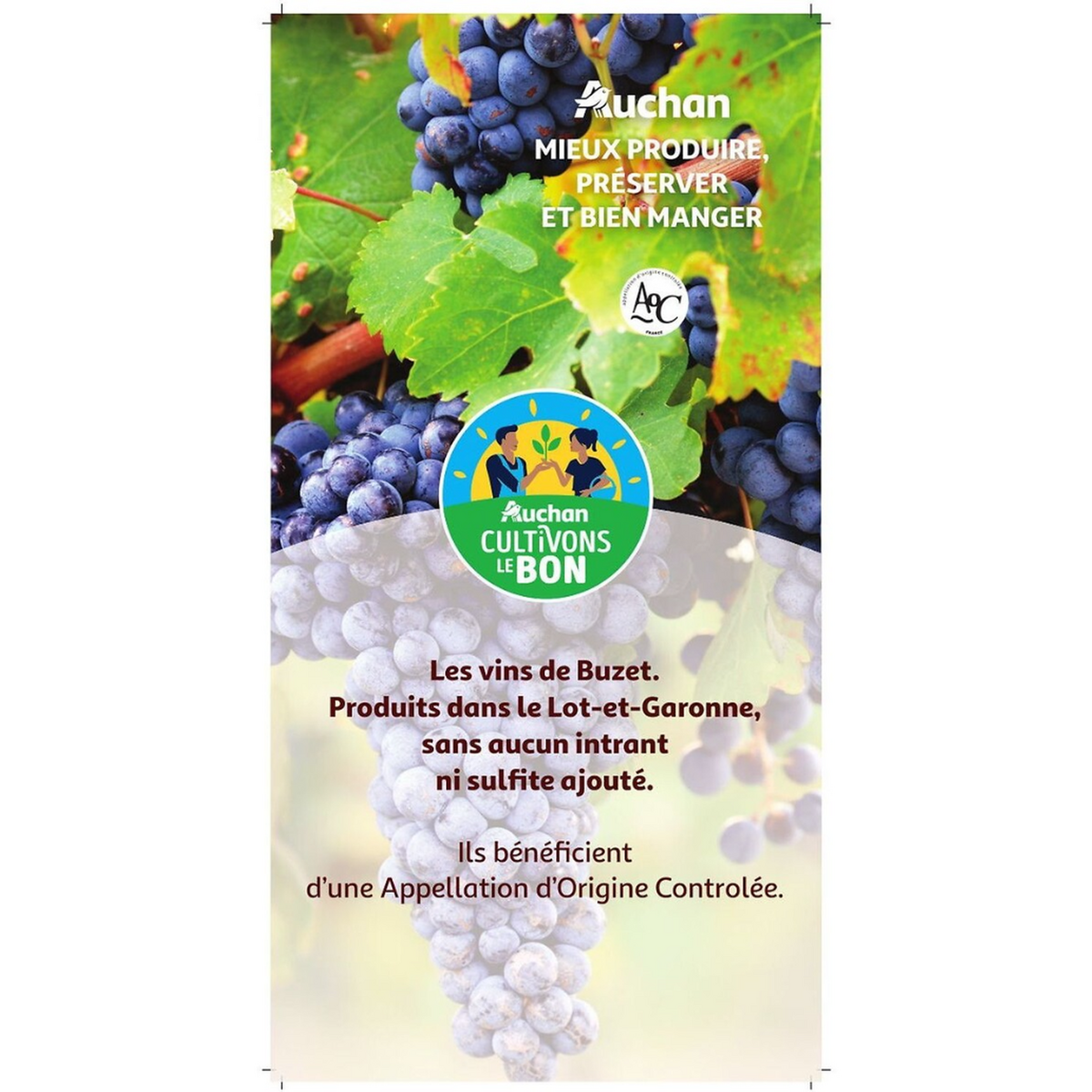 PIERRE CHANAU CULTIVONS LE BON AOP Buzet bio sans sulfites 75cl