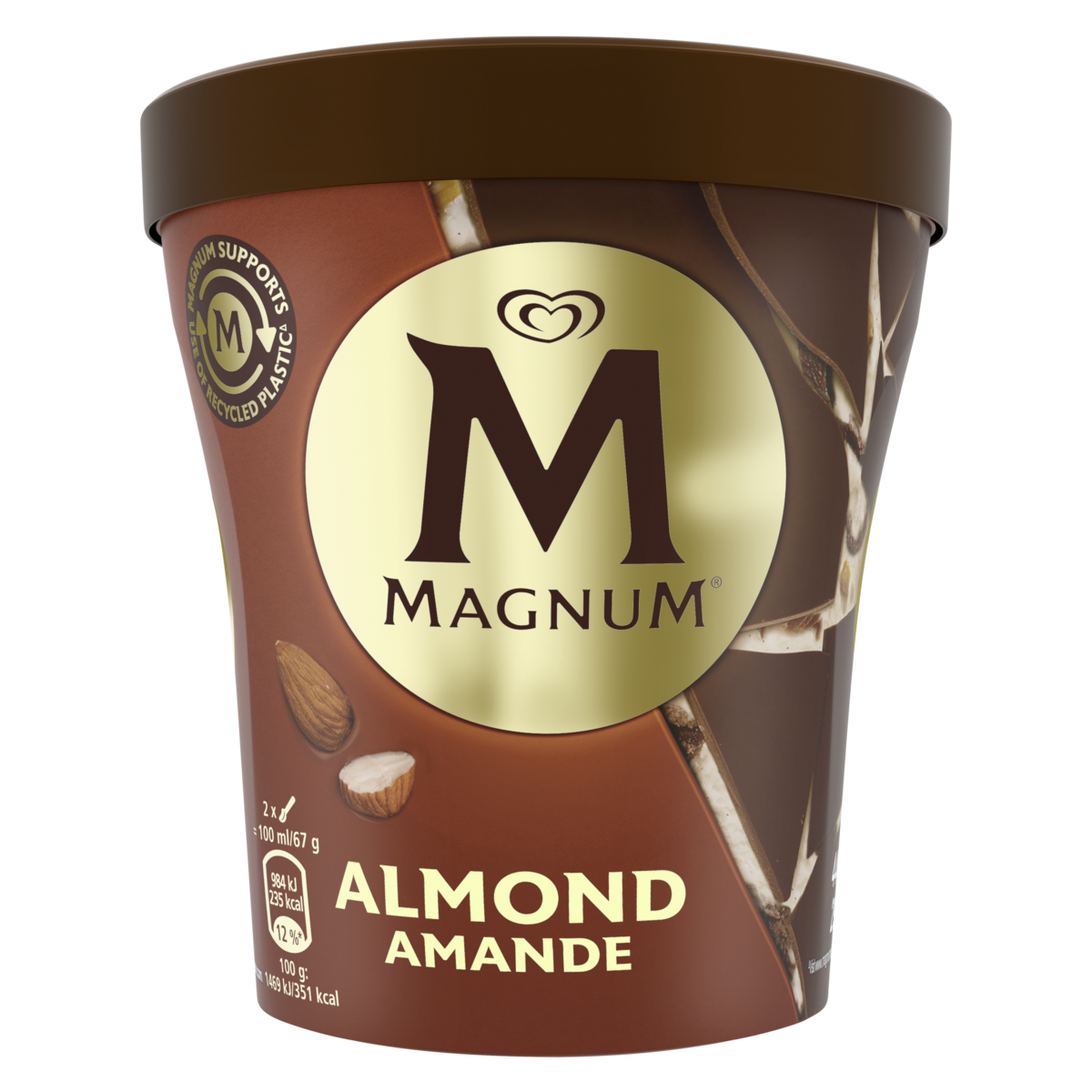 MAGNUM Crème glacée en pot vanille amande et chocolat au lait 320g
