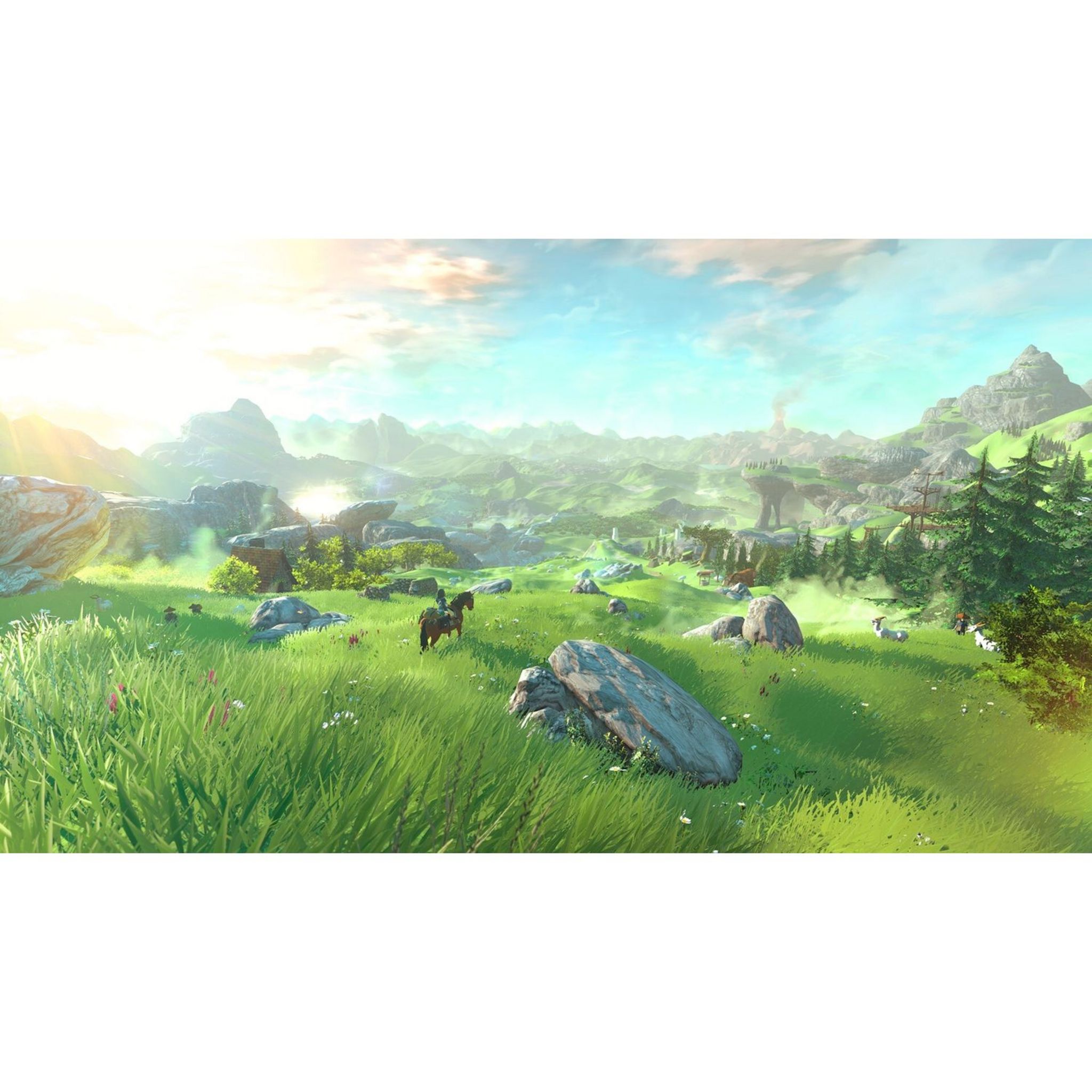 Voir la diapositive 5 : The Legend of Zelda : Breath of the Wild Nintendo Switch