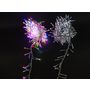 Voir la diapositive 4 : ACTUEL Guirlande lumineuse de Noël extérieure - Multicolore - 360 LED