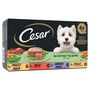 Voir la diapositive 2 : CESAR Assortiment barquettes terrines du jardin à la viandes et aux légumes pour chien 4 barquettes 4x150g