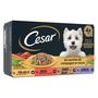 Voir la diapositive 2 : CESAR Barquettes filets sauce assortiment viandes légumes pour chien 4 barquettes 4x150g