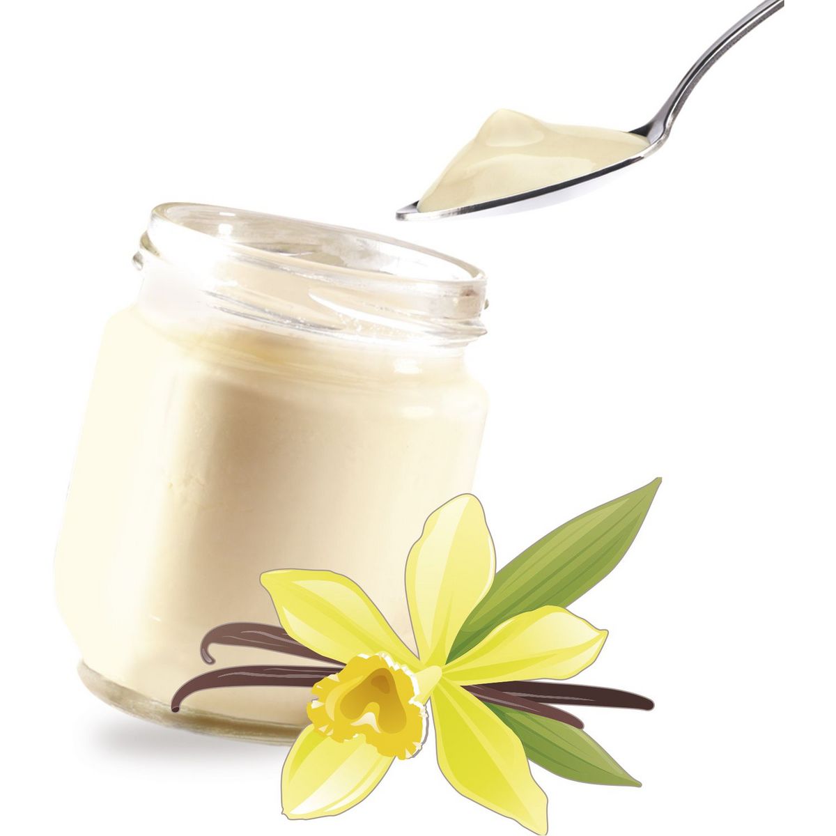 LAGRANGE Arôme pour yaourt parfum Vanille - 380310