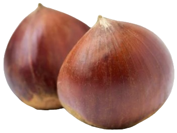 Châtaigne 500g